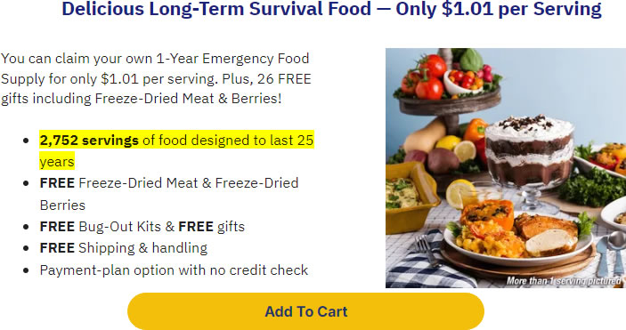 4Patriots 1 Year Food Supply Review: A Must-Have Kit for Food Security