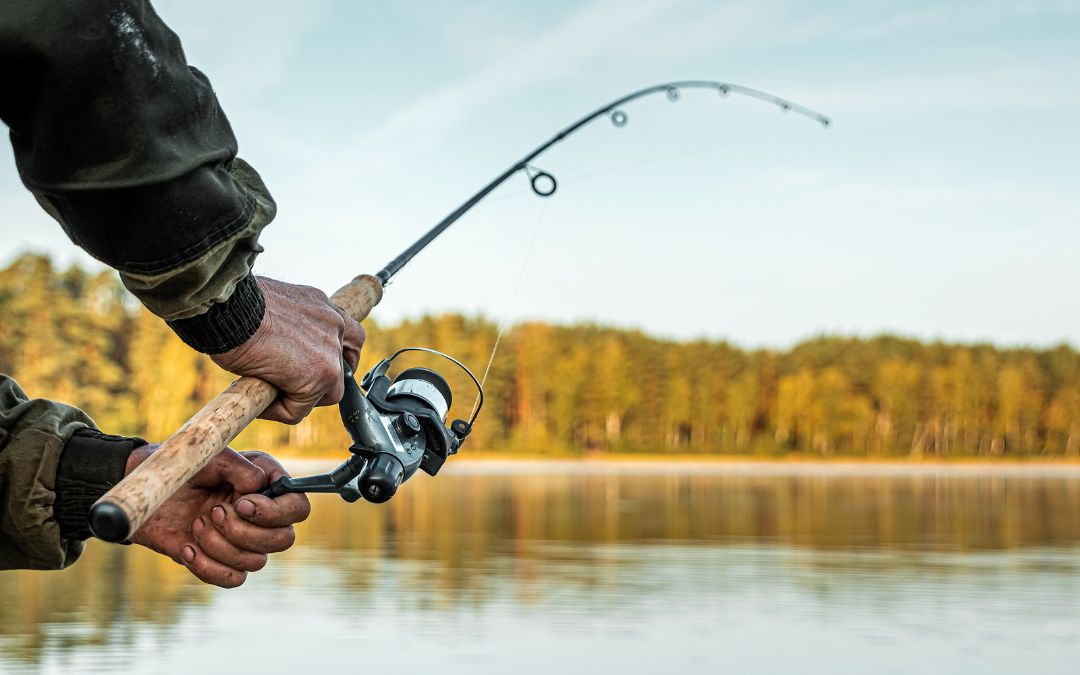 Top 10 Must-Have Fishing Gear Items for Every Angler
