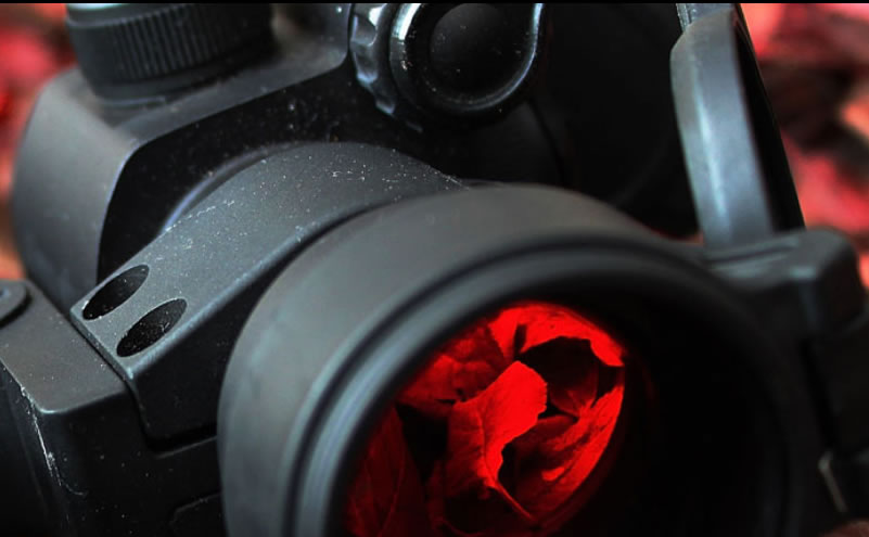 https://outdoorandyardgear.com/product/mcgstinger/