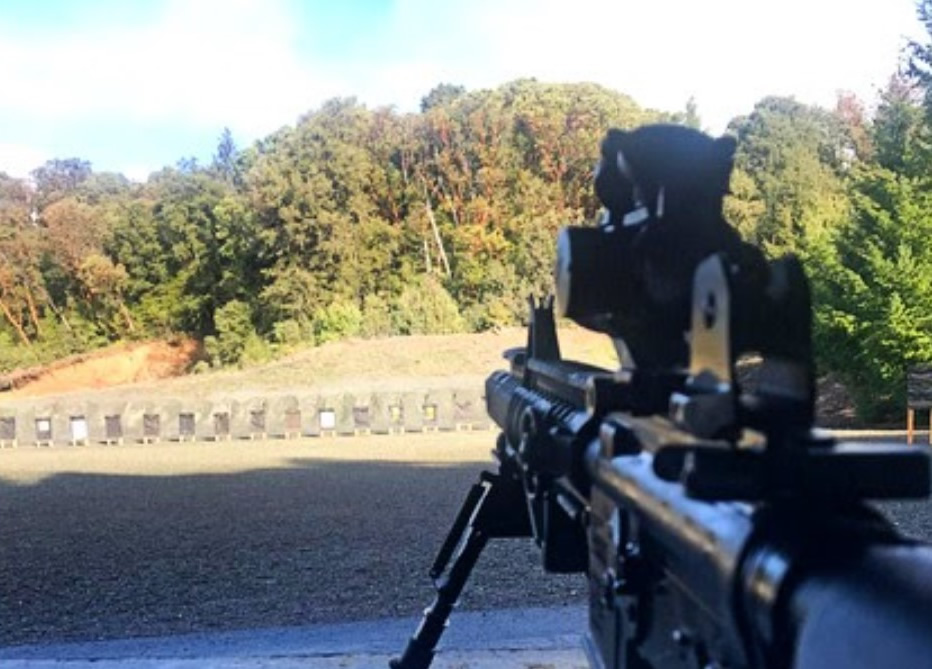 https://outdoorandyardgear.com/product/mcgstinger/