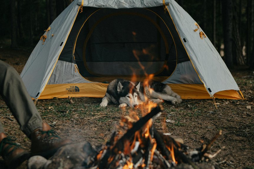 Tent Camping Safety: Is It Really Safe?