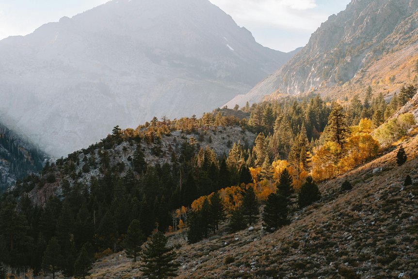 Yosemite Camping: When Do Reservations Open?